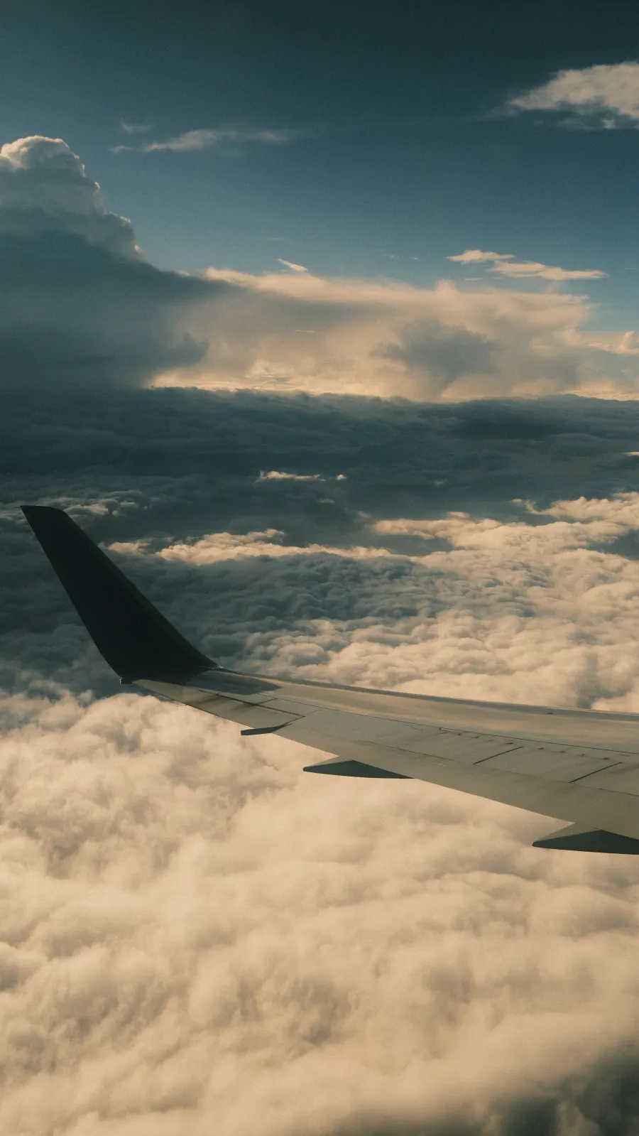 Avion