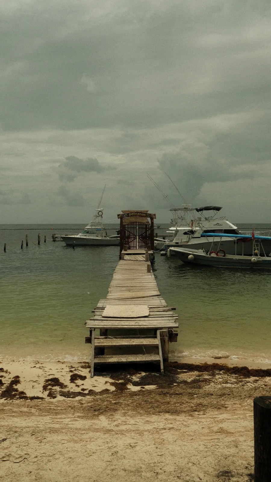 Ponton